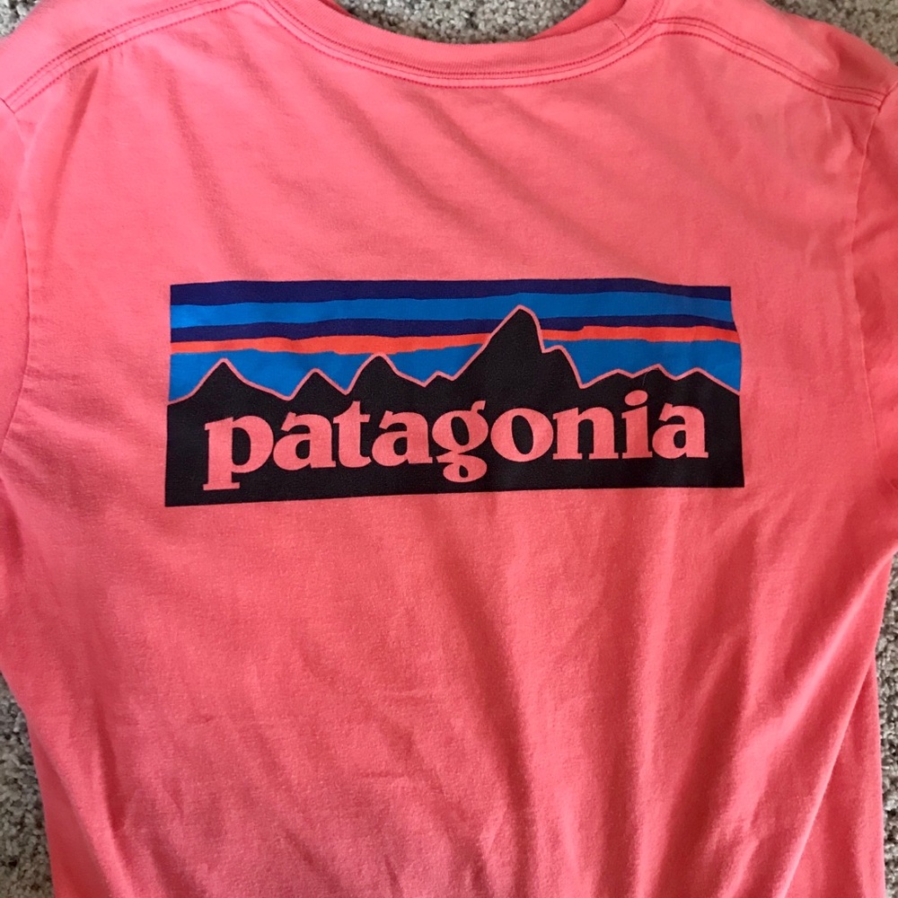 Patagonia Short Sleeve Salmon T Shirt
